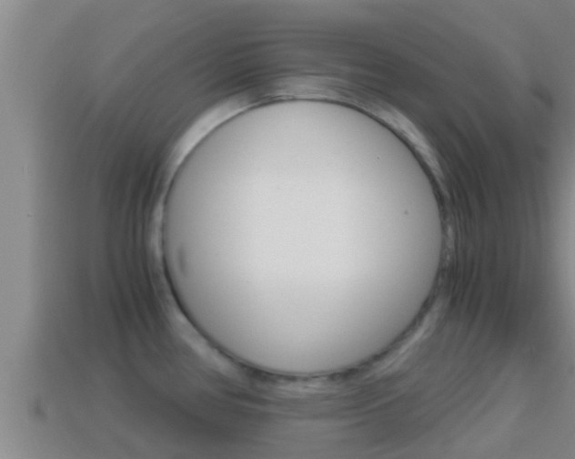 X0000114621386200910200952