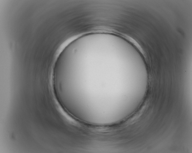 X0000114621387200910200952