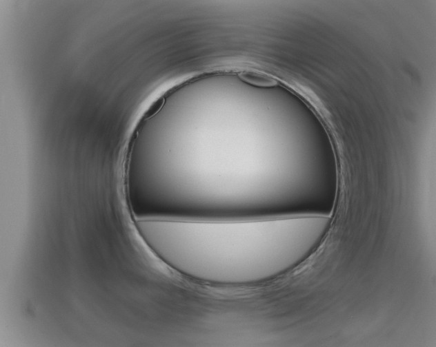 X0000114621392200910200952