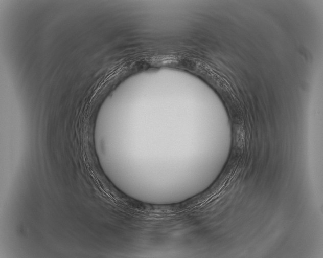 X0000114621393200910200952