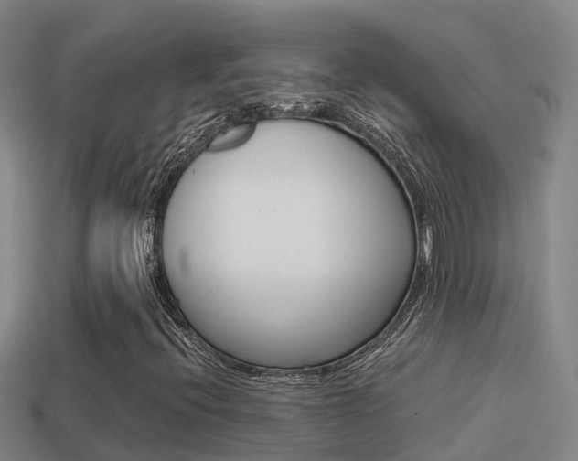 X0000114621396200910200952