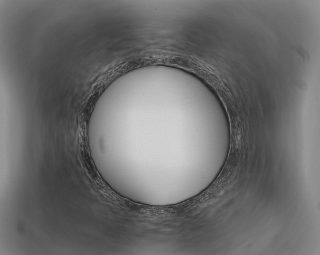 X0000114621397200910200952