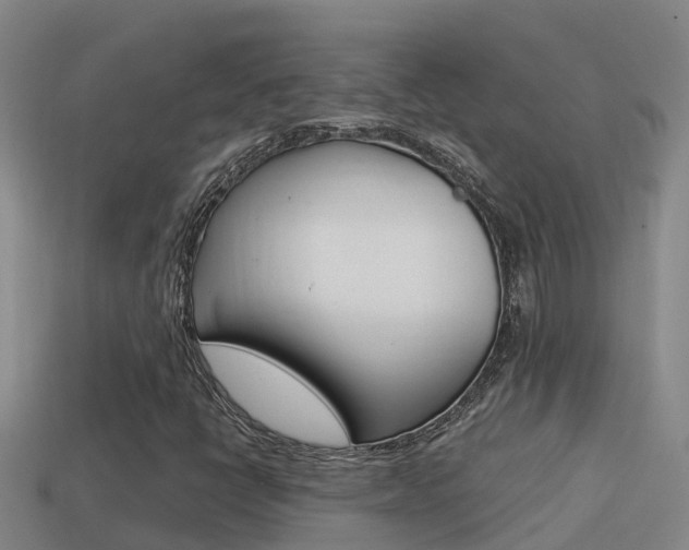 X0000114621398200910200952