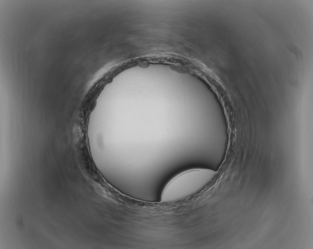 X0000114621400200910200952