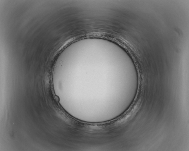 X0000114621401200910200952