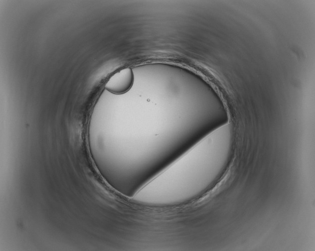 X0000114621402200910200952