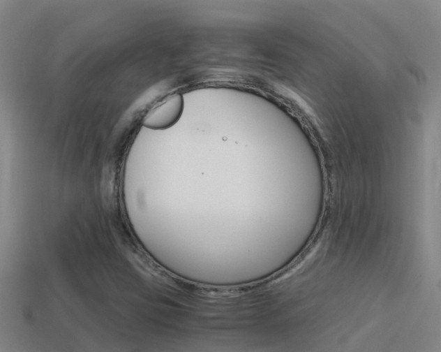 X0000114621403200910200952