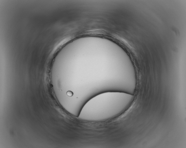 X0000114621405200910200952