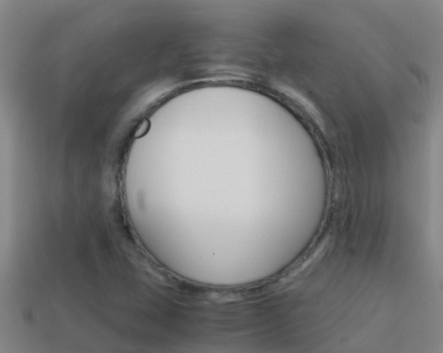 X0000114621407200910200952