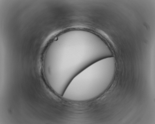 X0000114621408200910200952