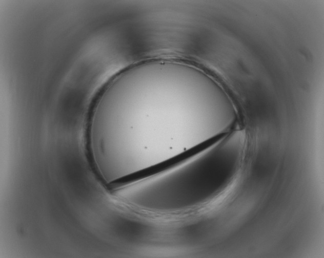 X0000114621410200910200952