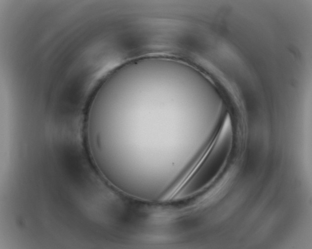 X0000114621411200910200952