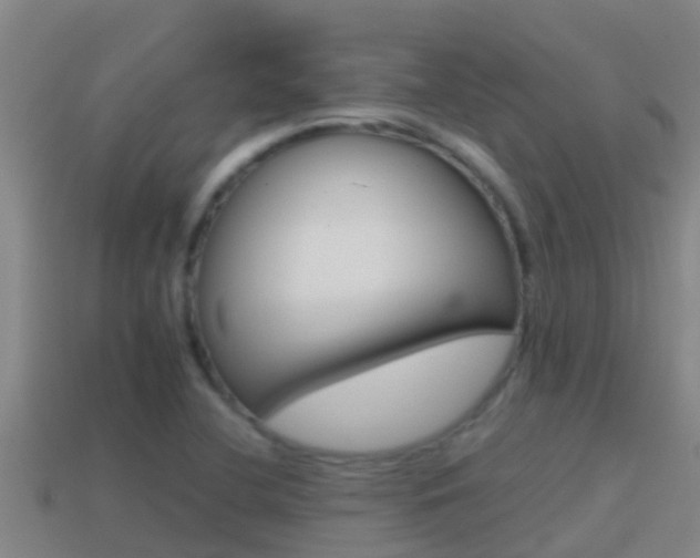 X0000114621412200910200952