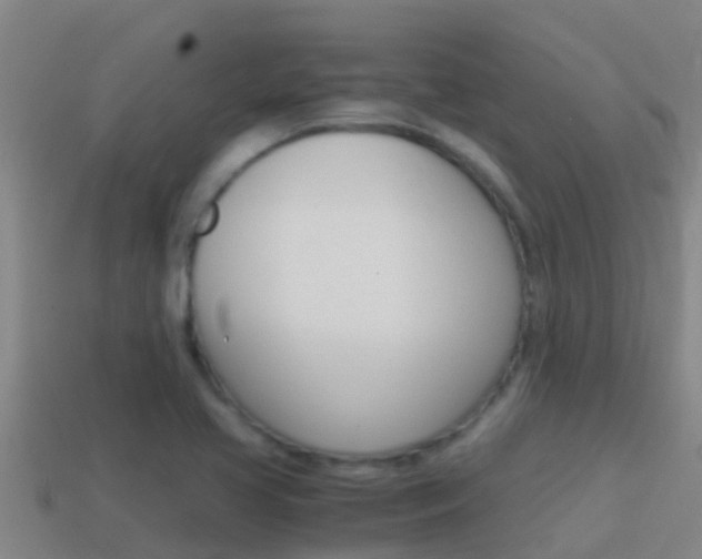X0000114621413200910200952