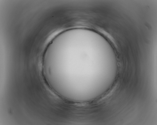 X0000114621415200910200952