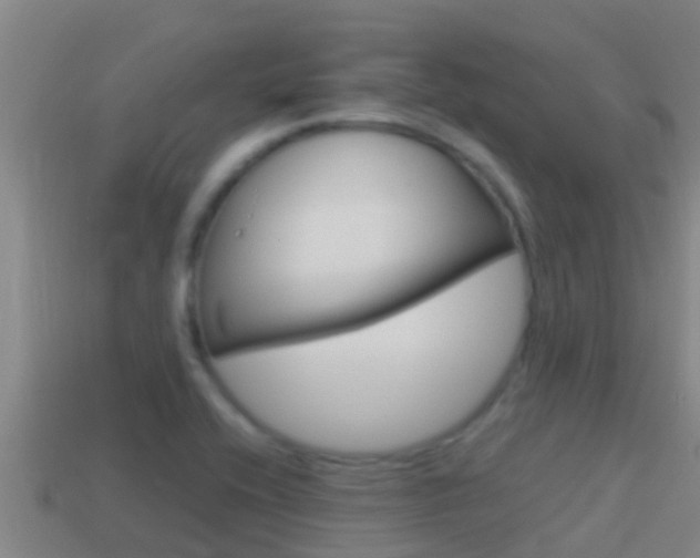 X0000114621416200910200952