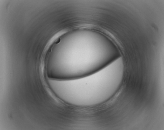 X0000114621418200910200952