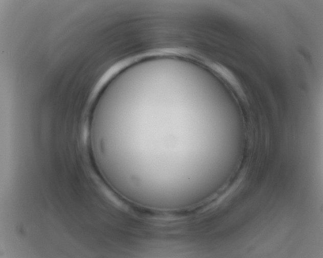 X0000114621420200910200952