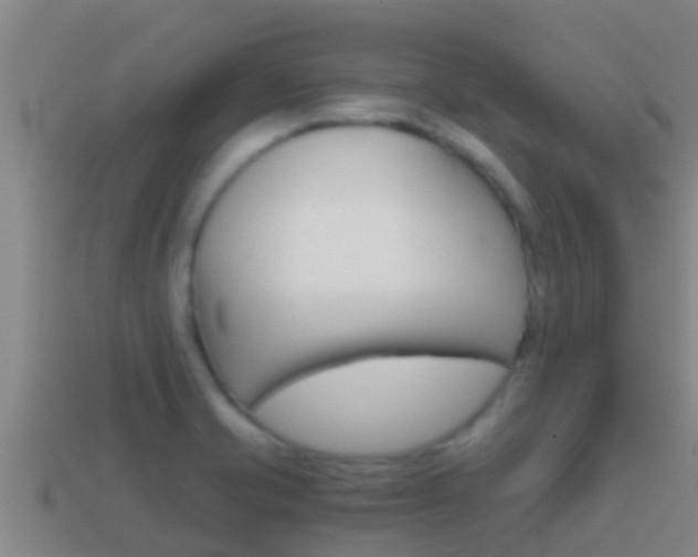 X0000114621421200910200952