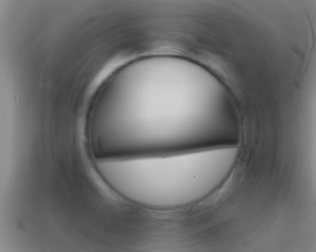X0000114621422200910200952