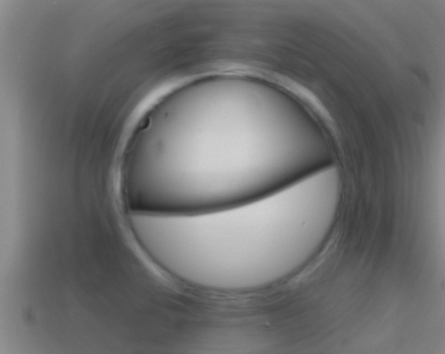 X0000114621424200910200952