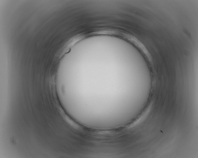 X0000114621425200910200952
