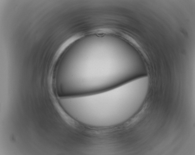 X0000114621426200910200952