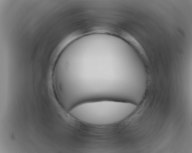 X0000114621427200910200952