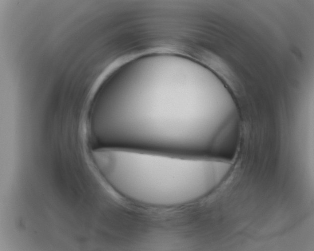 X0000114621428200910200952