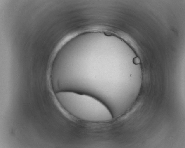 X0000114621429200910200952