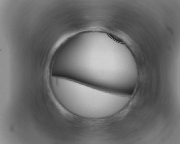 X0000114621430200910200952