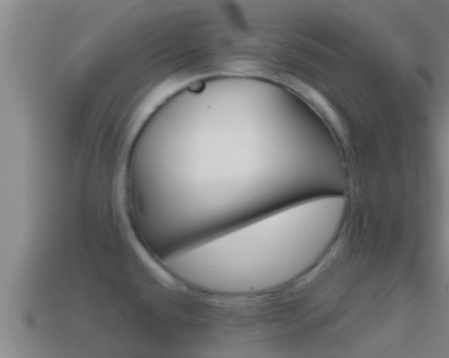 X0000114621432200910200952