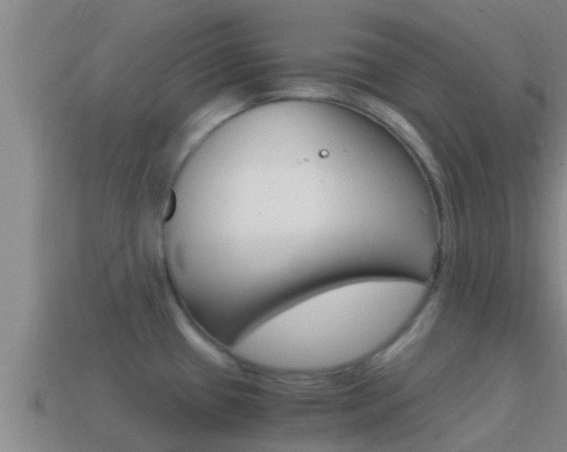 X0000114621433200910200952