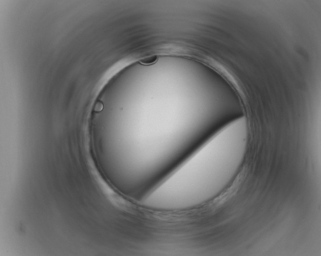 X0000114621434200910200952