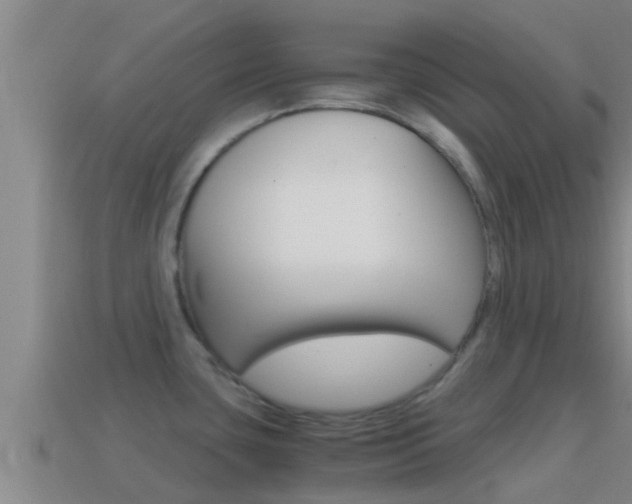 X0000114621435200910200952