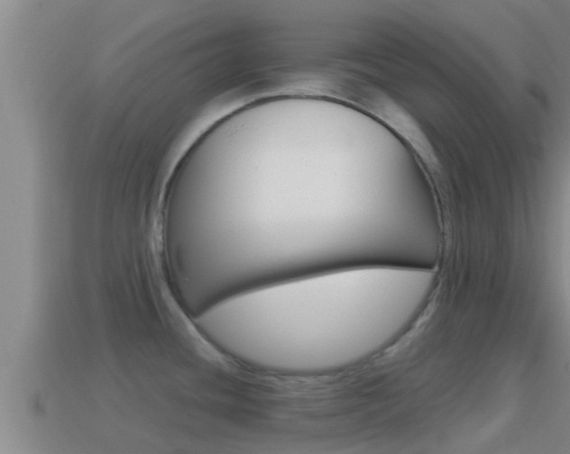 X0000114621436200910200952