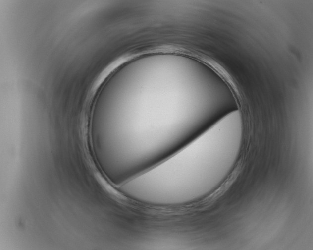 X0000114621438200910200952