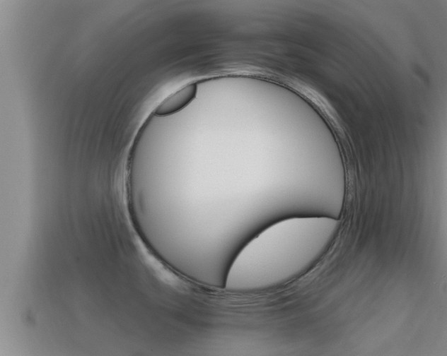 X0000114621439200910200952