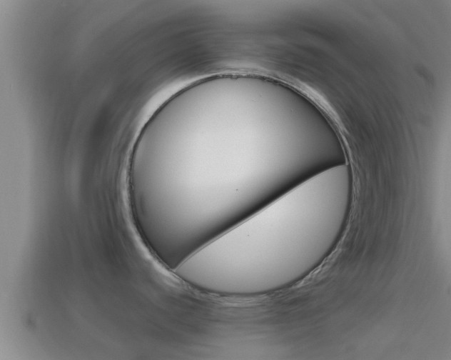 X0000114621440200910200952