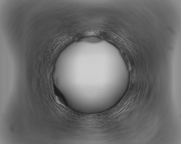 X0000114621441200910200952