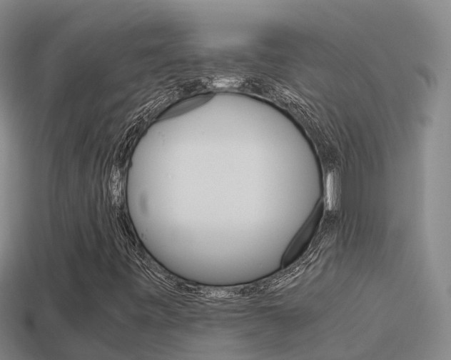 X0000114621443200910200952