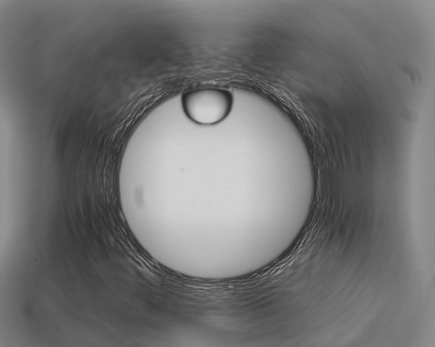 X0000114621444200910200952