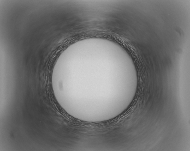 X0000114621445200910200952