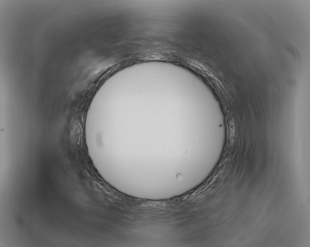 X0000114621446200910200952