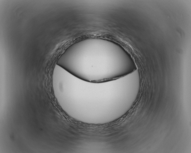 X0000114621447200910200952