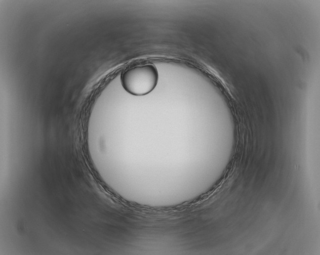 X0000114621448200910200952