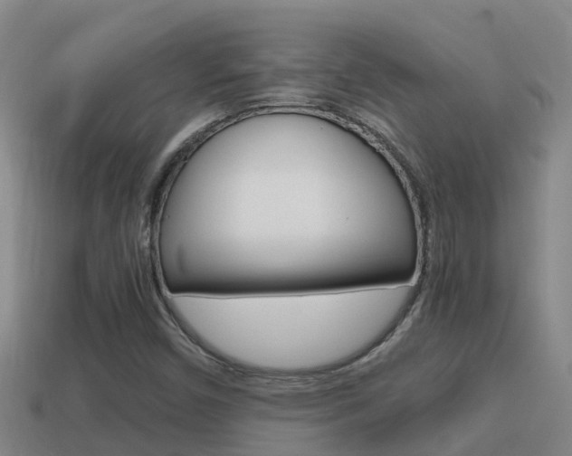 X0000114621450200910200952
