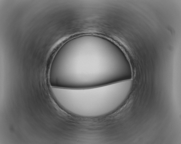 X0000114621452200910200951
