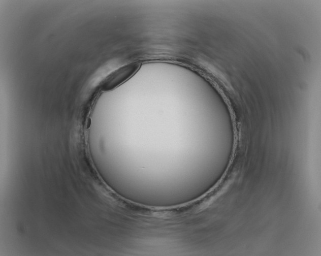 X0000114621453200910200951