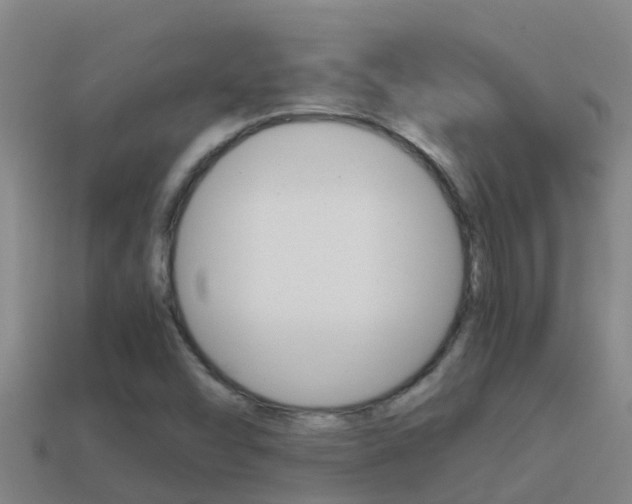 X0000114621454200910200951